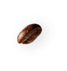 demo-attachment-35-coffee-beans-P4MXYZD-1